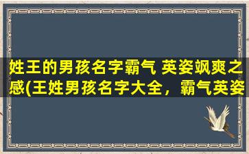 姓王的男孩名字霸气 英姿飒爽之感(王姓男孩名字大全，霸气英姿飒爽，选名不再愁)